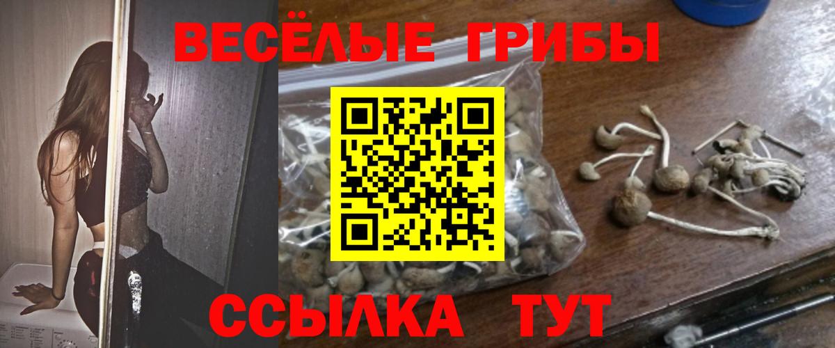 Псилоцибиновые грибы Psilocybine cubensis Элиста